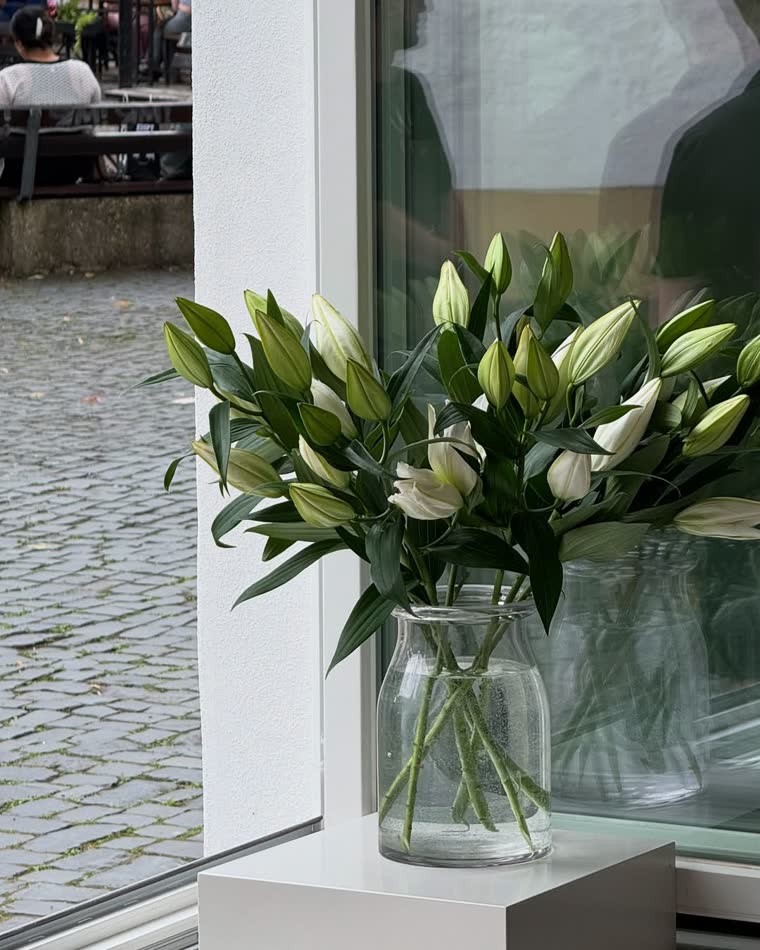 venue – Blumen am Fenster